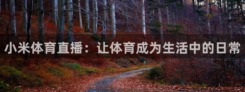 小米体育直播：让体育成为生活中的日常