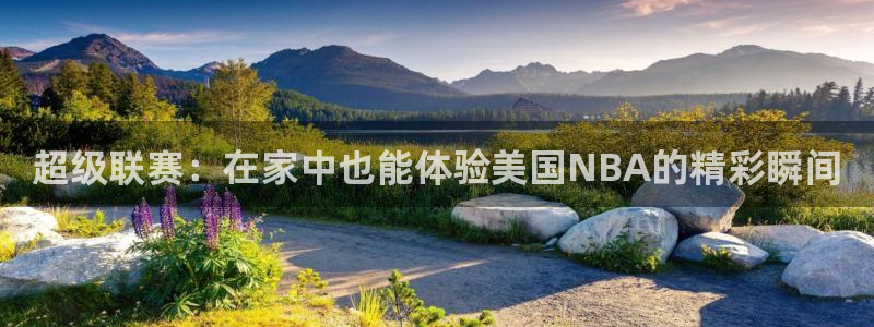 超级联赛：在家中也能体验美国NBA的精彩瞬间